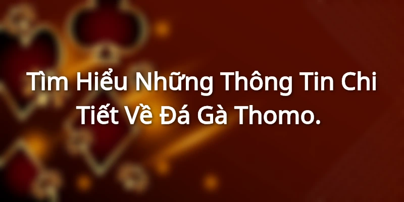 Tìm hiểu chi tiết về đá gà Thomo