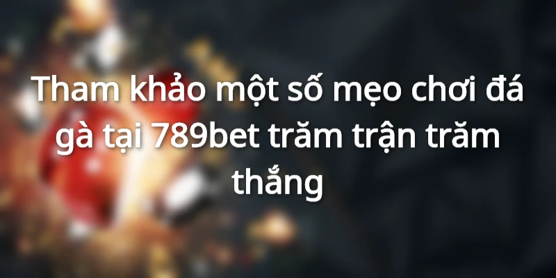 Tham khảo một số mẹo chơi đá gà tại 789bet
