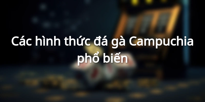Các hình thức đá gà Campuchia phổ biến