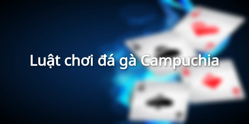 Luật chơi đá gà Campuchia