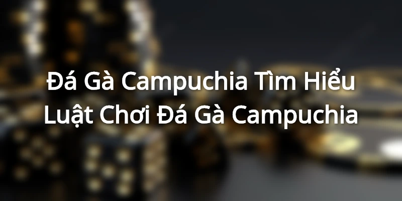 Đá Gà Campuchia - Tìm Hiểu Luật Chơi Đá Gà Campuchia