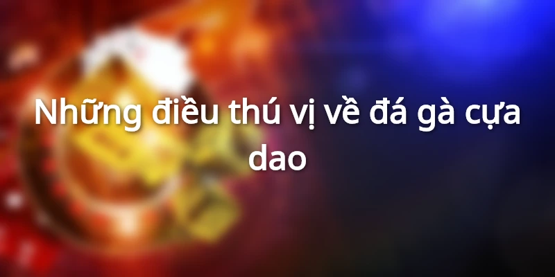 Những điều thú vị về đá gà cựa dao