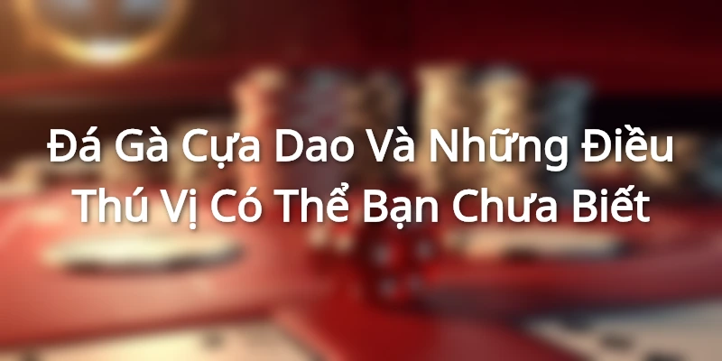 Đá Gà Cựa Dao Và Những Điều Thú Vị Có Thể Bạn Chưa Biết
