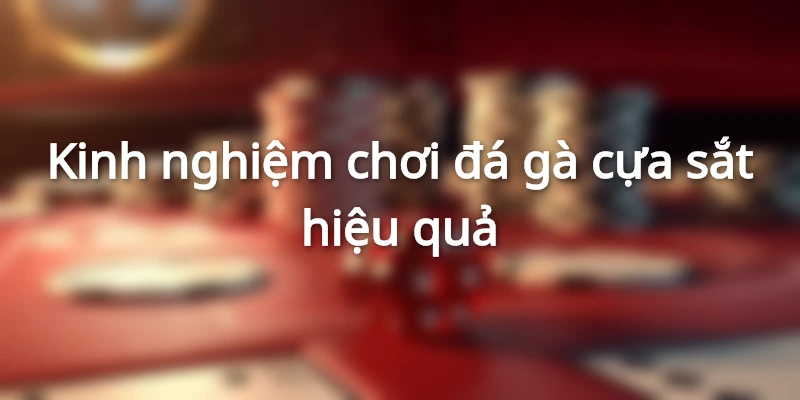 Kinh nghiệm chơi đá gà cựa sắt hiệu quả