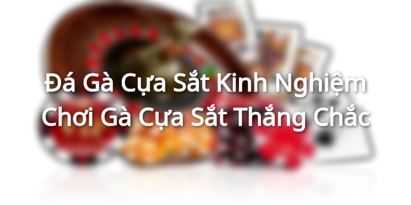 Đá Gà Cựa Sắt - Kinh Nghiệm Chơi Gà Cựa Sắt Thắng Chắc