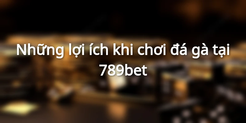 Những lợi ích khi chơi đá gà tại 789bet