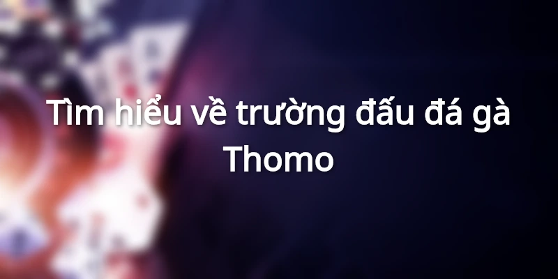 Trận đá gà Thomo 24 tỷ
