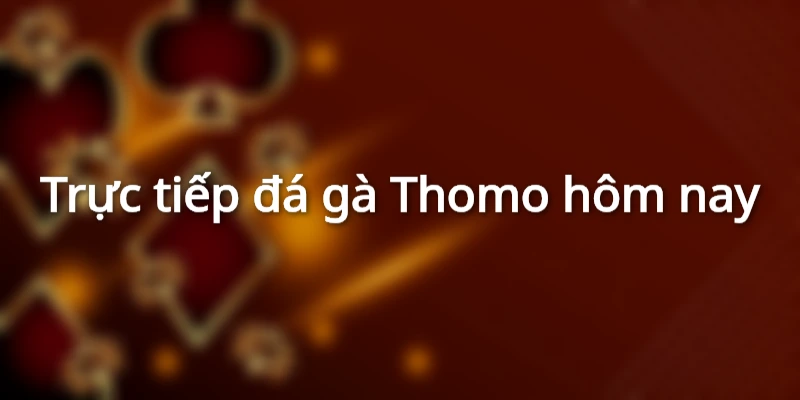 Trực tiếp đá gà Thomo hôm nay