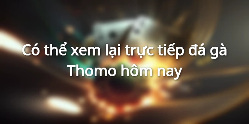 Có thể xem lại trực tiếp đá gà Thomo hôm nay