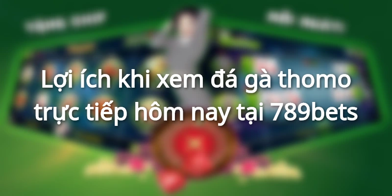 Lợi ích khi xem đá gà thomo trực tiếp hôm nay tại 789bets