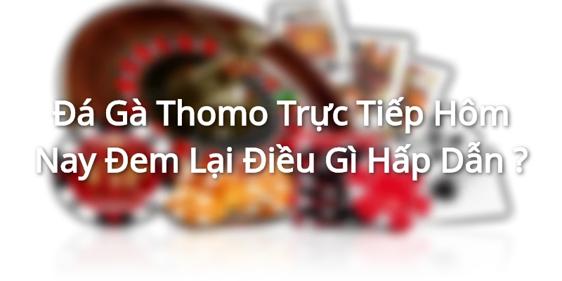 Đá Gà Thomo Trực Tiếp Hôm Nay Đem Lại Điều Gì Hấp Dẫn ?