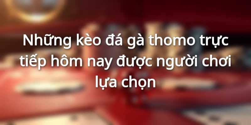 Những kèo đá gà thomo trực tiếp hôm nay được người chơi lựa chọn