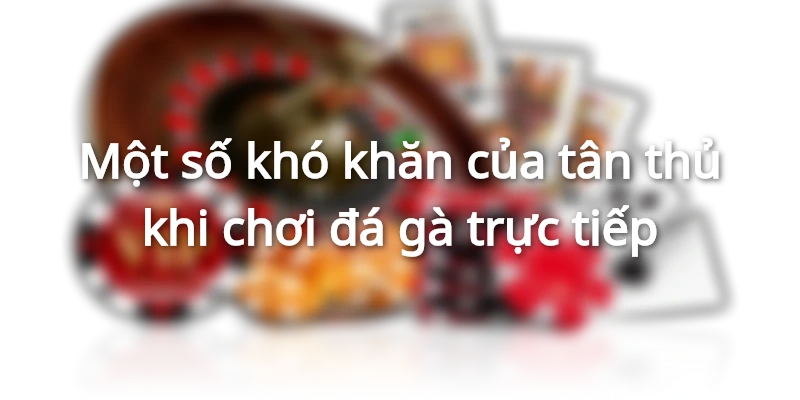 Một số khó khăn của tân thủ khi chơi đá gà trực tiếp 
