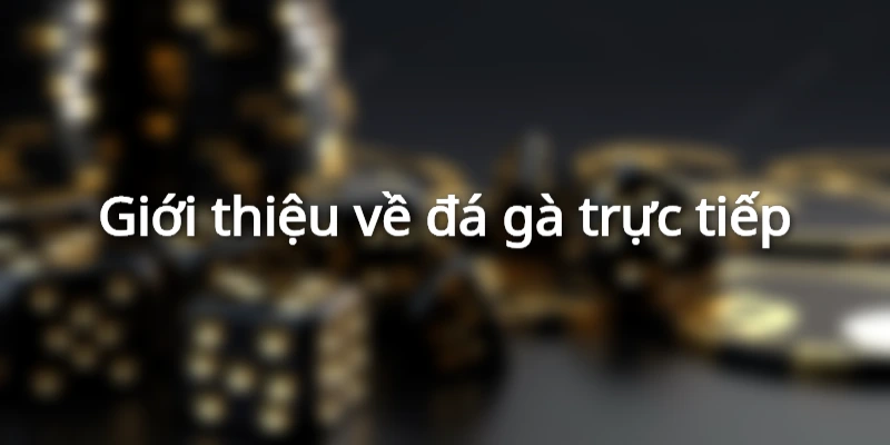 Đá gà trực tiếp tại 789bet