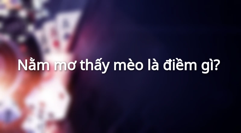 Mơ thấy loài mèo là một giấc mơ mang nhiều ý nghĩa đặc biệt