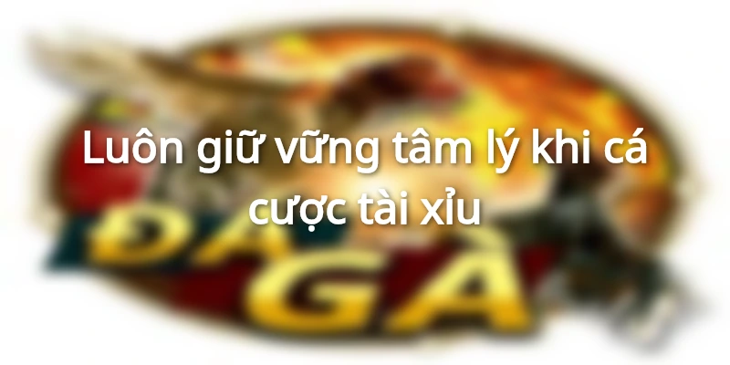 Cần chọn lựa nhà cái uy tín khi tham gia cá cược tài xỉu