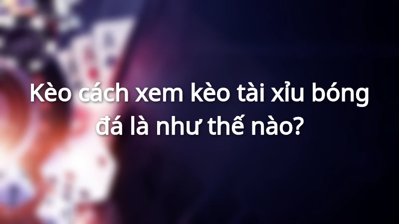 Nắm rõ cách xem tài xỉu bóng đá mang lại hiệu quả cao