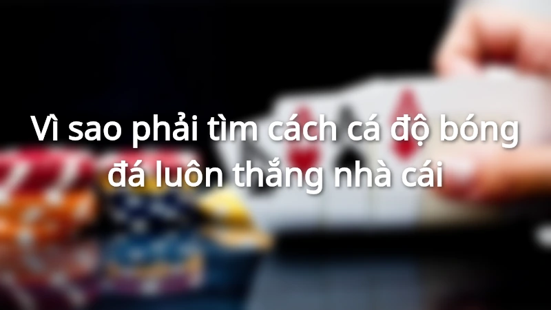 Vì sao lại phải tìm cách cá độ bóng đá luôn thắng