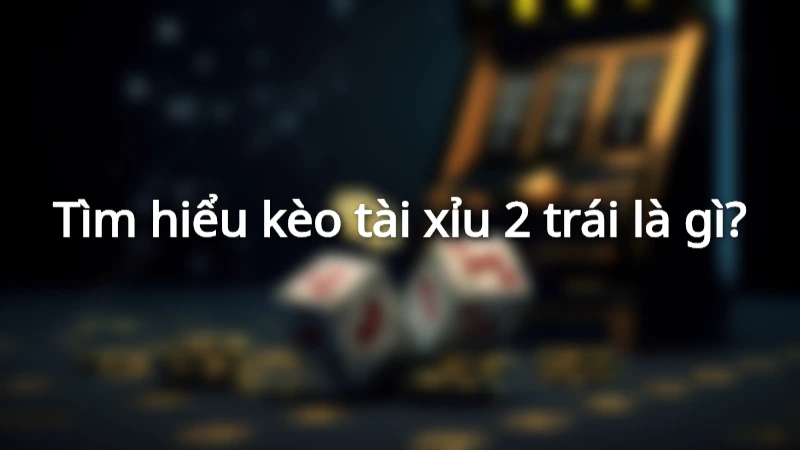 Khái niệm tài xỉu 2 trái chi tiết