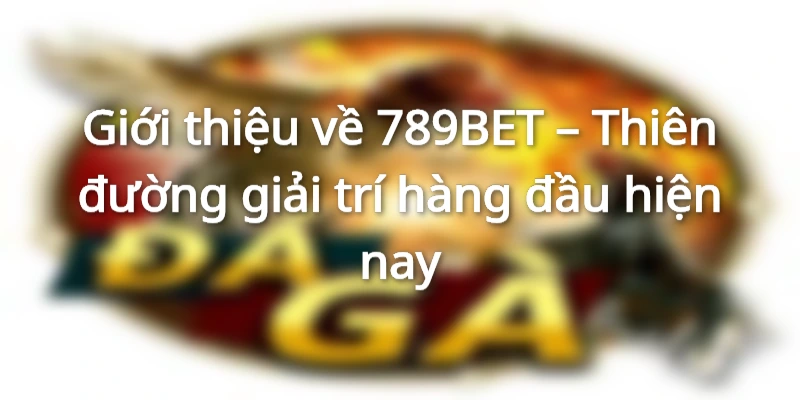 Giới thiệu tổng quan website 789BET
